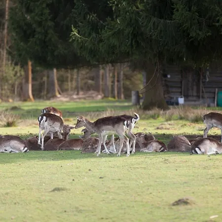 Forsthaus Woernbrunn Hotel 4*